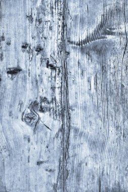 Eski yıpranmış çürük kırık düğümlü mavi lekeli ve Pinewood plakalar lapa lapa Grunge doku detay vernikli