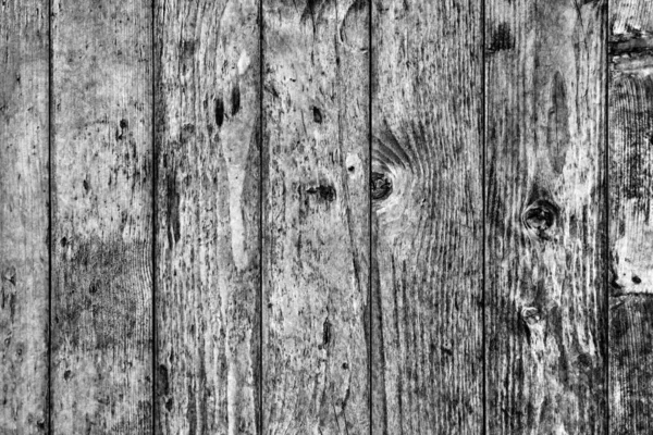 Старые ветхие гнилые треснувшие узлы отбеливающийся серый и лакированные сосновые доски Flaky Grunge Texture Detail — стоковое фото