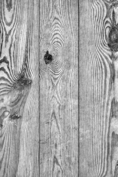 腐った風化オールド漂白された結び目の灰色のひびやニス塗りのパインウッド板サクサク グランジ テクスチャの詳細 — ストック写真