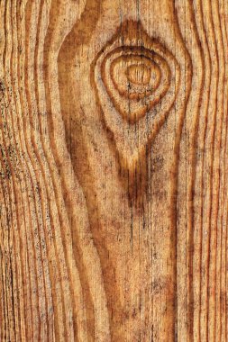 Pinewood tahta Grunge doku detay vernikli eski düğümlü yıpranmış