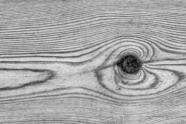 Eski çürümüş yıpranmış düğümlü ağartılmış gri kırık ve Pinewood plakalar lapa lapa Grunge doku detay vernikli