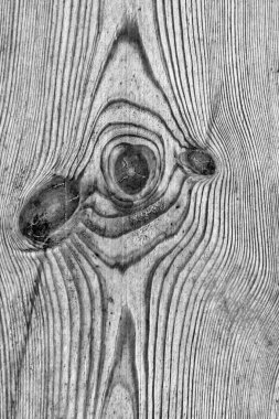 Eski çürümüş yıpranmış düğümlü ağartılmış gri kırık ve Pinewood plakalar lapa lapa Grunge doku detay vernikli