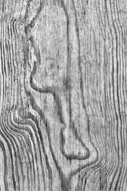 Eski çürümüş yıpranmış düğümlü ağartılmış gri kırık ve Pinewood plakalar lapa lapa Grunge doku detay vernikli