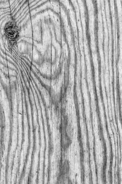 Eski çürümüş yıpranmış düğümlü ağartılmış gri kırık ve Pinewood plakalar lapa lapa Grunge doku detay vernikli