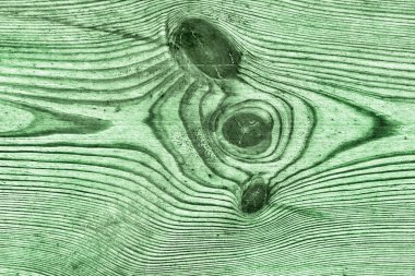 Eski çürümüş düğümlü lekeli yeşil yıpranmış ve Pinewood kırık plakalar lapa lapa Grunge doku detay vernikli