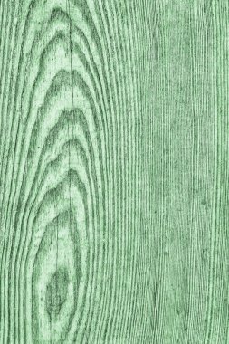 Eski çürümüş düğümlü lekeli yeşil yıpranmış ve Pinewood kırık plakalar lapa lapa Grunge doku detay vernikli