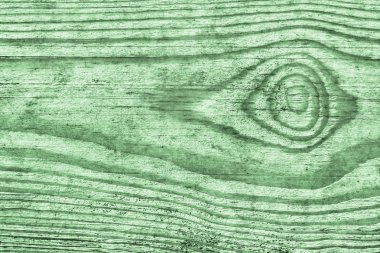 Eski çürümüş düğümlü lekeli yeşil yıpranmış ve Pinewood kırık plakalar lapa lapa Grunge doku detay vernikli