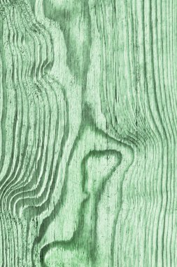 Eski çürümüş düğümlü lekeli yeşil yıpranmış ve Pinewood kırık plakalar lapa lapa Grunge doku detay vernikli