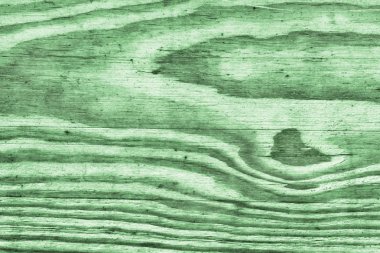 Eski çürümüş düğümlü lekeli yeşil yıpranmış ve Pinewood kırık plakalar lapa lapa Grunge doku detay vernikli