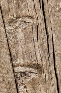 Düğümlü çam ahşap Floorboard Grunge doku detay yıpranmış eski kırık