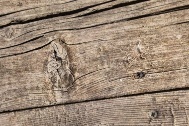 Rusty Phillips vida ile eski yıpranmış çürük kırık düğümlü kaba çam ahşap Grunge yüzey ayrıntı gömülü