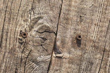 Rusty Phillips vida ile eski yıpranmış çürük kırık düğümlü kaba çam ahşap Grunge yüzey ayrıntı gömülü