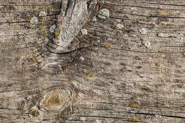 Wyblakły stary pęknięty wiązane sosna drewna deski podłogowej Grunge tekstury wszystko — Zdjęcie stockowe