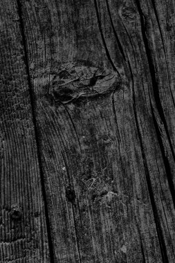Siyah eski yıpranmış düğümlü çam ahşap Floorboard doku Rusty Phillips vida katıştırılmış ayrıntı ile kırık