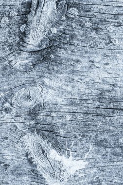 Mavi eski yıpranmış düğümlü çam ahşap Floorboard Grunge doku detay kırık
