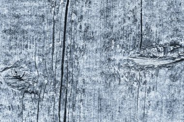 Mavi eski yıpranmış düğümlü çam ahşap Floorboard Grunge doku detay kırık