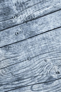 Mavi eski yıpranmış düğümlü çam ahşap Floorboard doku Rusty Phillips vida katıştırılmış ayrıntı ile kırık