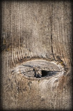 Düğümlü çam ahşap Floorboard Vignette Grunge doku detay yıpranmış eski kırık