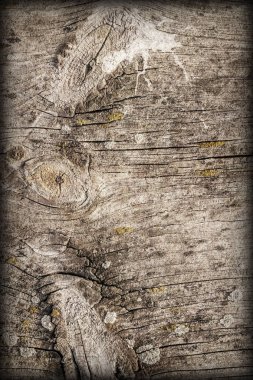 Düğümlü çam ahşap Floorboard Vignette Grunge doku detay yıpranmış eski kırık