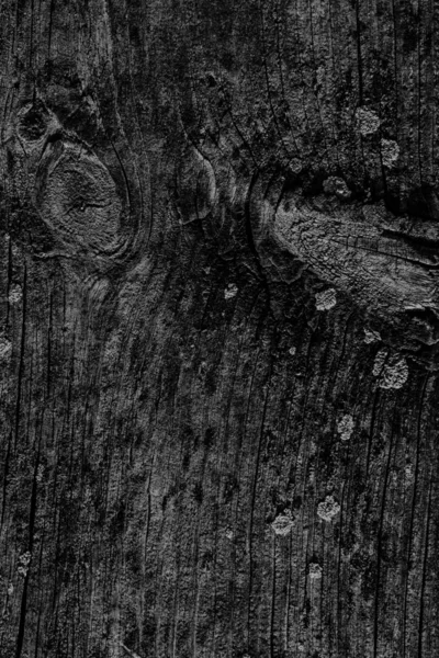 Black Old Weathered Cracked Knotted Pine Wood Floorboard Grunge Texture Detail