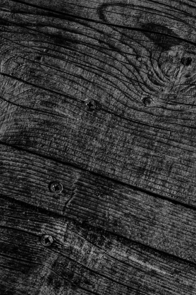 Black Old Weathered Cracked Knotted Pine Wood Floorboard Grunge Texture With Rusty Phillips Screws Embedded Detail