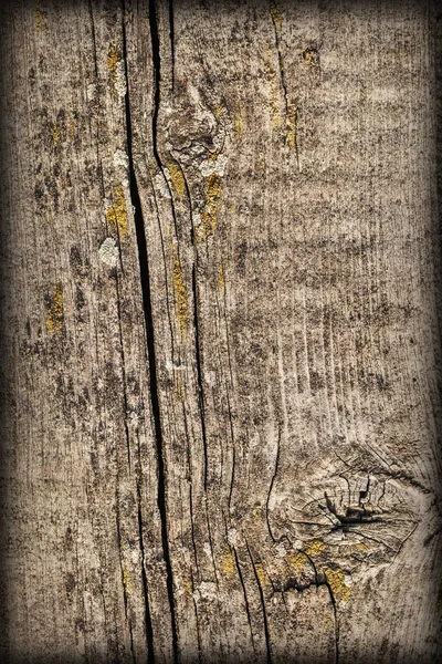 Old Weathered Cracked Knotted Pine Wood Floorboard Vignette Grunge texture détail — Photo
