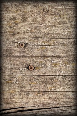 Rusty Phillips vida ile eski yıpranmış kırık düğümlü kaba çam ahşap Vignette Grunge yüzey ayrıntı gömülü