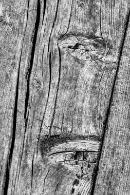 Gri eski yıpranmış düğümlü çam ahşap Floorboard Grunge doku detay kırık