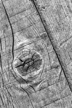 Gri eski yıpranmış düğümlü çam ahşap Floorboard Grunge doku detay kırık