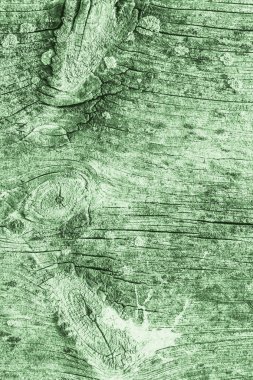 Yeşil eski yıpranmış düğümlü çam ahşap Floorboard Grunge doku detay kırık