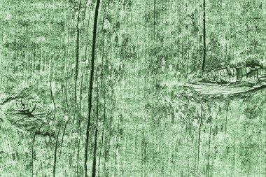 Yeşil eski yıpranmış düğümlü çam ahşap Floorboard Grunge doku detay kırık