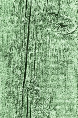 Yeşil eski yıpranmış düğümlü çam ahşap Floorboard Grunge doku detay kırık