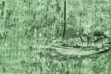 Yeşil eski yıpranmış düğümlü çam ahşap Floorboard Grunge doku detay kırık