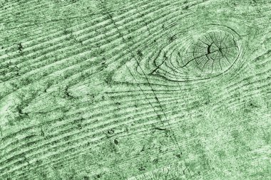 Yeşil eski yıpranmış düğümlü çam ahşap Floorboard Grunge doku detay kırık