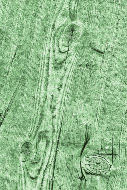 Yeşil eski yıpranmış düğümlü çam ahşap Floorboard Grunge doku detay kırık