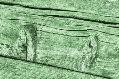 Yeşil eski yıpranmış düğümlü çam ahşap Floorboard Grunge doku detay kırık