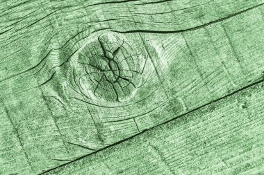 Yeşil eski yıpranmış düğümlü çam ahşap Floorboard Grunge doku detay kırık