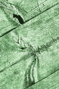 Yeşil eski yıpranmış düğümlü çam ahşap Floorboard Grunge doku detay kırık
