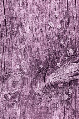 Pembe eski yıpranmış düğümlü çam ahşap Floorboard Grunge doku detay kırık