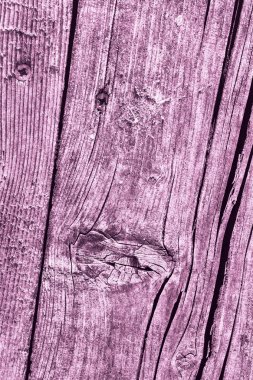 Pembe eski yıpranmış düğümlü çam ahşap Floorboard doku Rusty Phillips vida katıştırılmış ayrıntı ile kırık