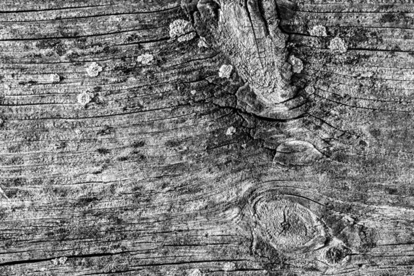 Grå gammal vittrade knäckt knutna furu trä brädan Grunge textur detalj — Stockfoto