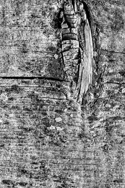 Gray Old Weathered Cracked Knotted Pine Wood Floorboard Grunge Texture Detail — Stock Photo, Image