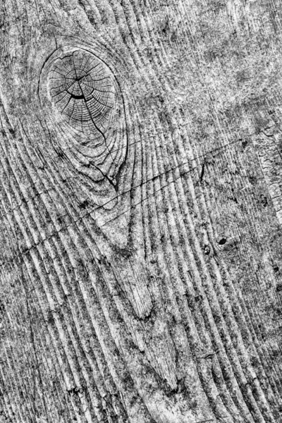 Gray Old Weathered Cracked Knotted Pine Wood Floorboard Grunge Texture Detail