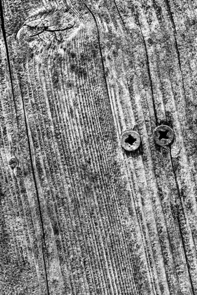 Gray Old Weathered Cracked Knotted Pine Wood Floorboard Grunge Texture With Rusty Phillips Screws Embedded Detail — Stock Photo, Image