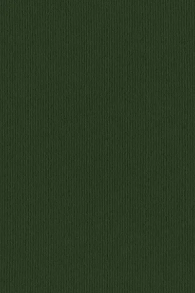 Hochauflösendes dunkelkieferngrün recycelt gestreiftes Kraftpapier grobkörnige Textur — Stockfoto