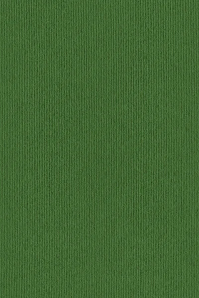 High Resolution Emerald Green Recycled Striped Kraft Paper Coarse Grain Texture