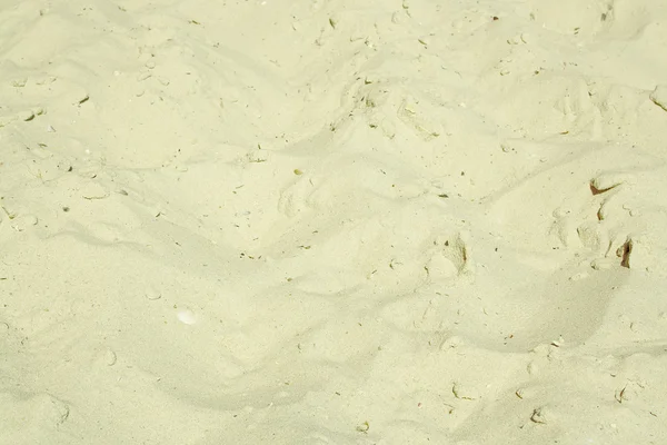 doku kabukları, yakın çekim