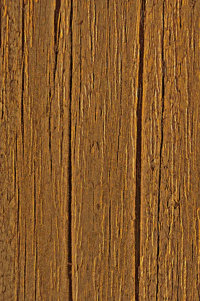 Chêne séculaire, texture vieux bois — Photo