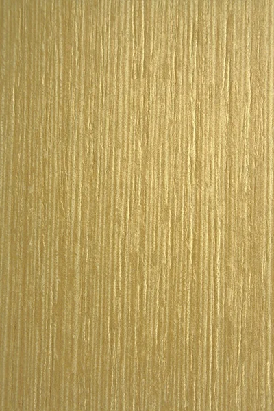 Roble inmaduro, textura madera vieja — Foto de Stock