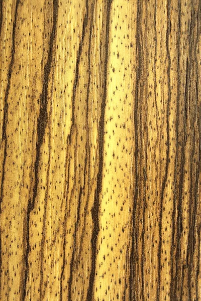 Zebrano 트리, 텍스처 오래 된 나무 — 스톡 사진